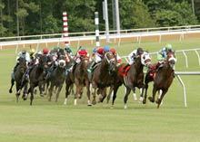 Colonial Downs Horse Racing - Martinsville, Virginia